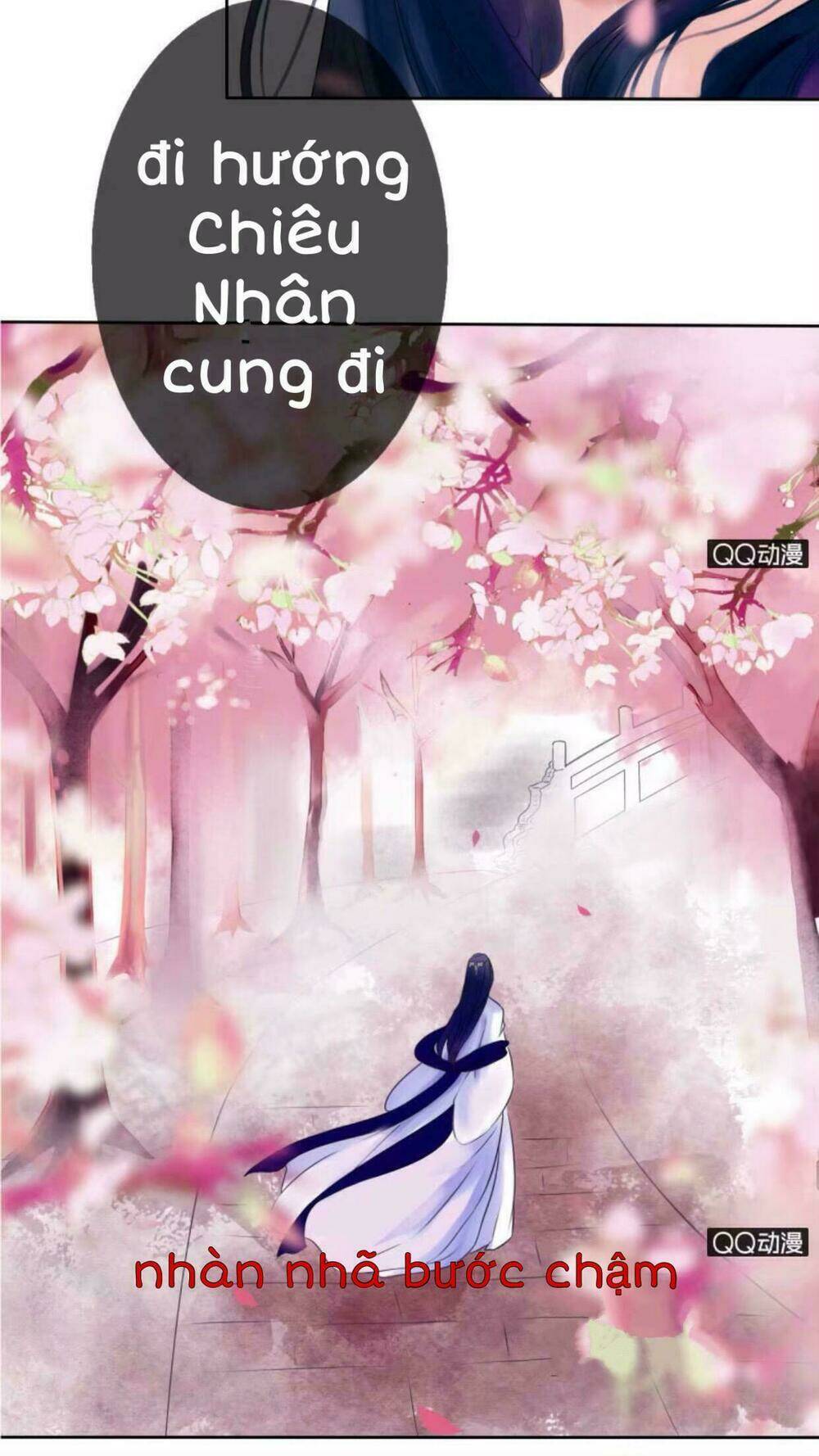 sủng phi của vương chapter 18 17