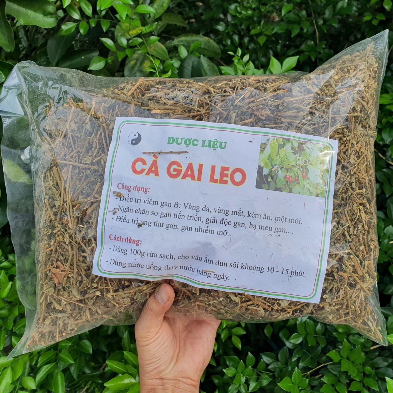 Gói 1Kg Cà Gai Leo khô hỗ trợ các bệnh về Gan