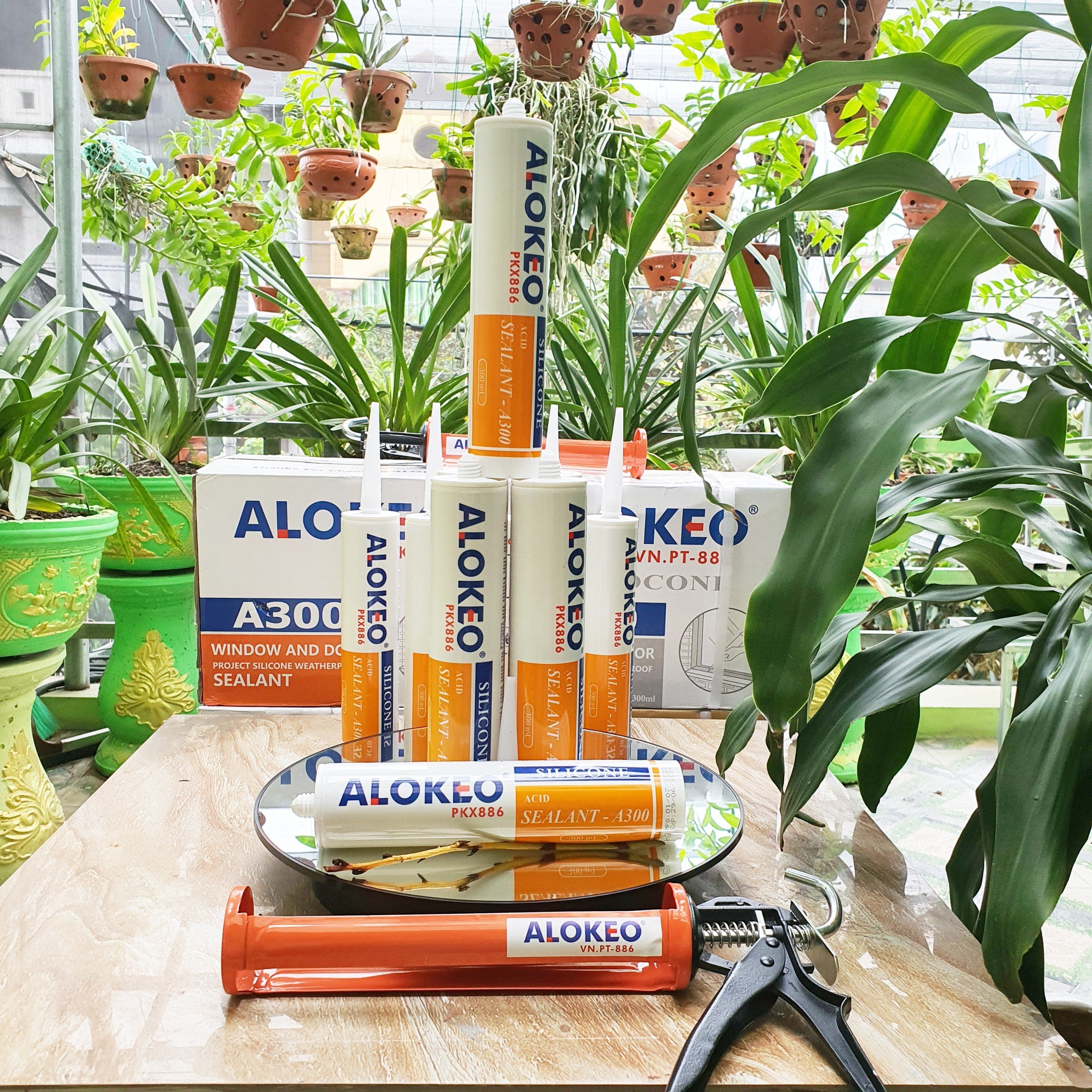 Keo silicone alokeo A300 màu trong Axit