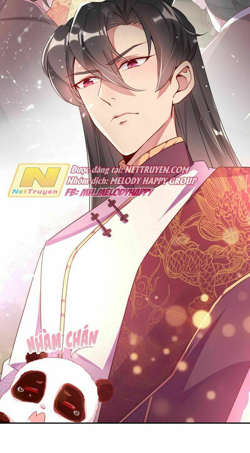 thiên thần gấu trúc muốn được ôm chapter 40 5