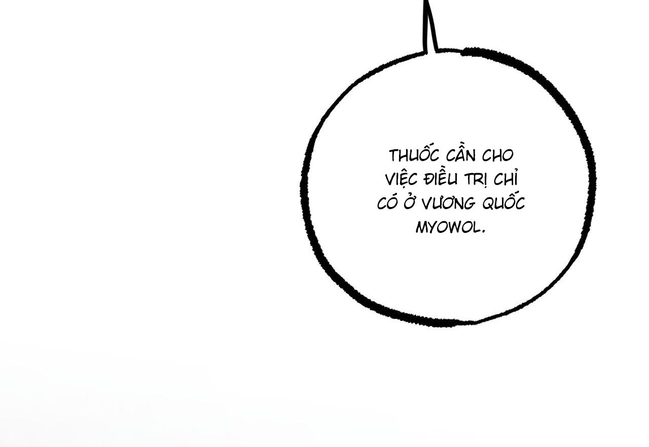 những chú thỏ của hapypy chapter 60 87