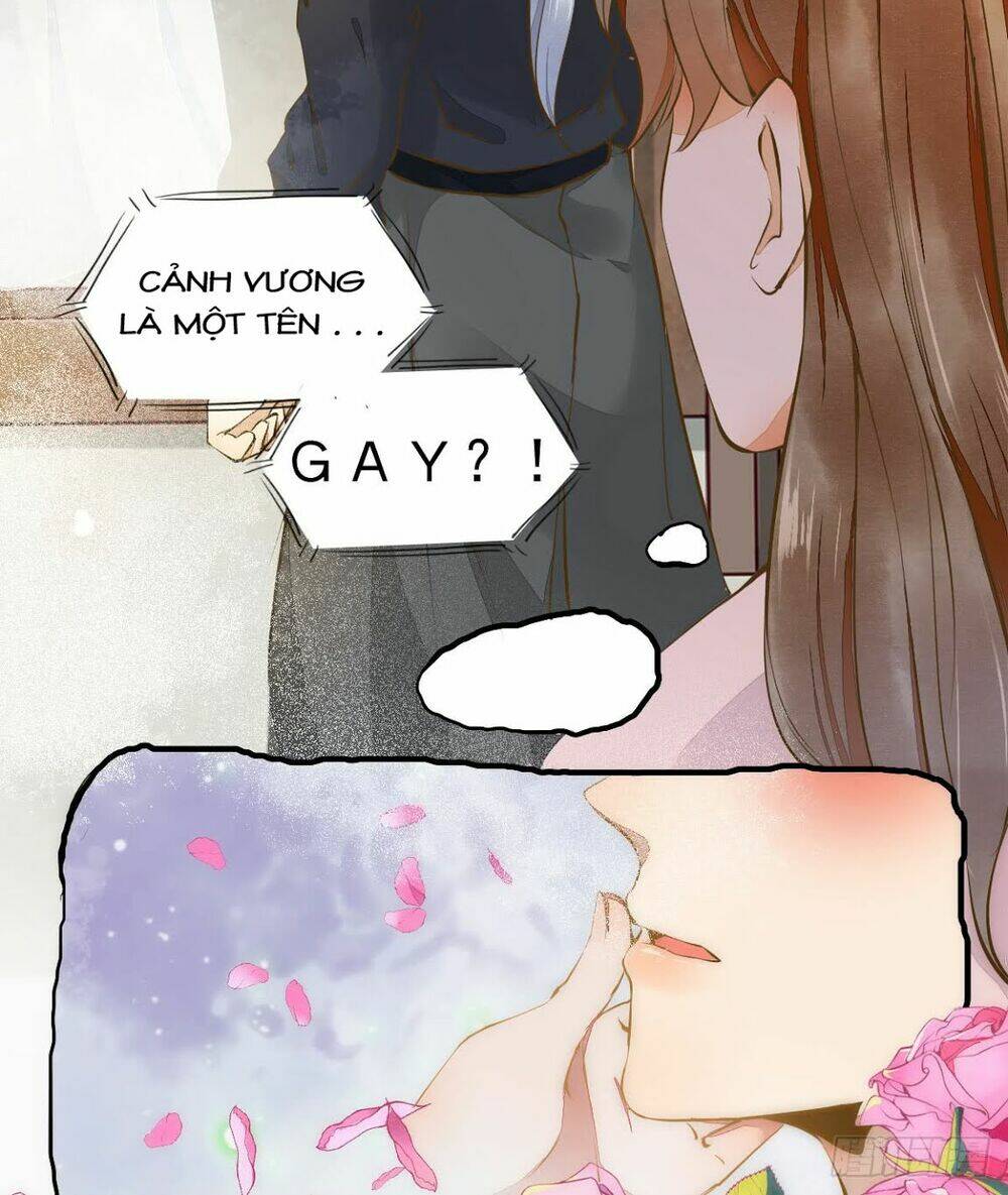 sát thủ vương phi không dễ chọc chapter 4.5 11