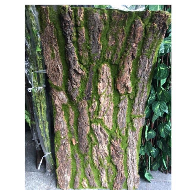 Tấm rêu gỗ trang trí 50cm x 1m