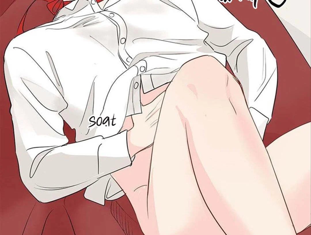 chuyện quái gì với giấc mơ đó vậy chapter 36 38