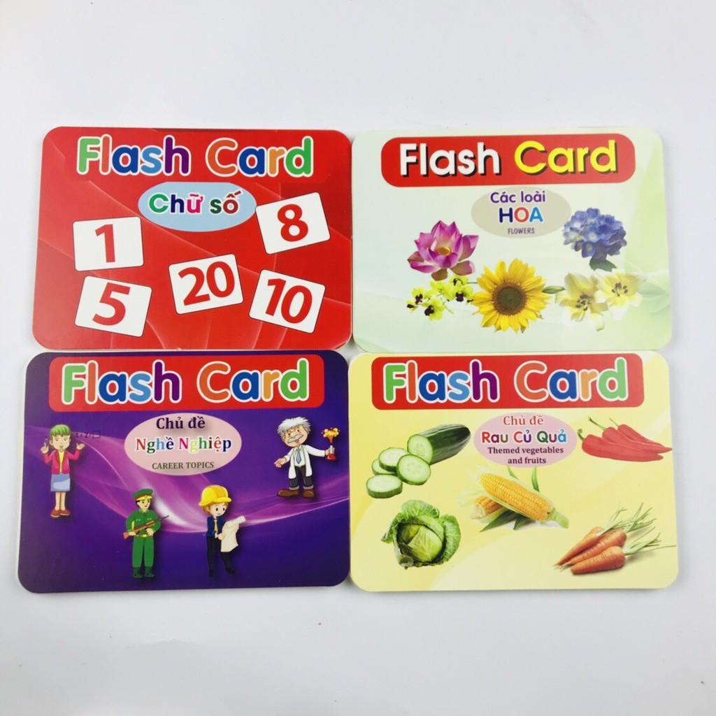 Bộ Thẻ Học Thông Minh 19 Chủ Đề song ngữ loại chuẩn Glenn Doman Flashcard_thẻ thông minh loại to