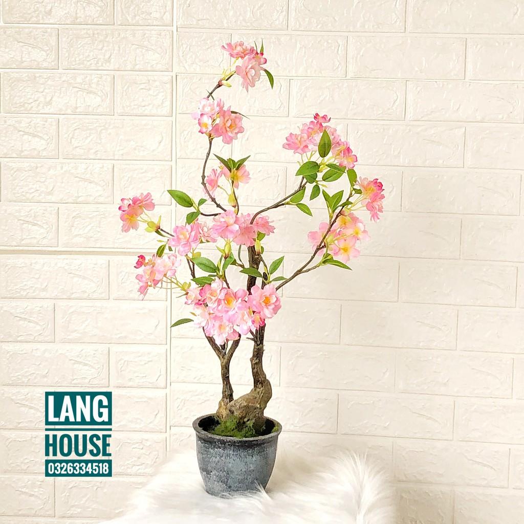 Hoa Giả Hoa Lụa - CHẬU HOA ĐÀO GIẢ CAO 70CM (KÈM CẢ CHẬU)