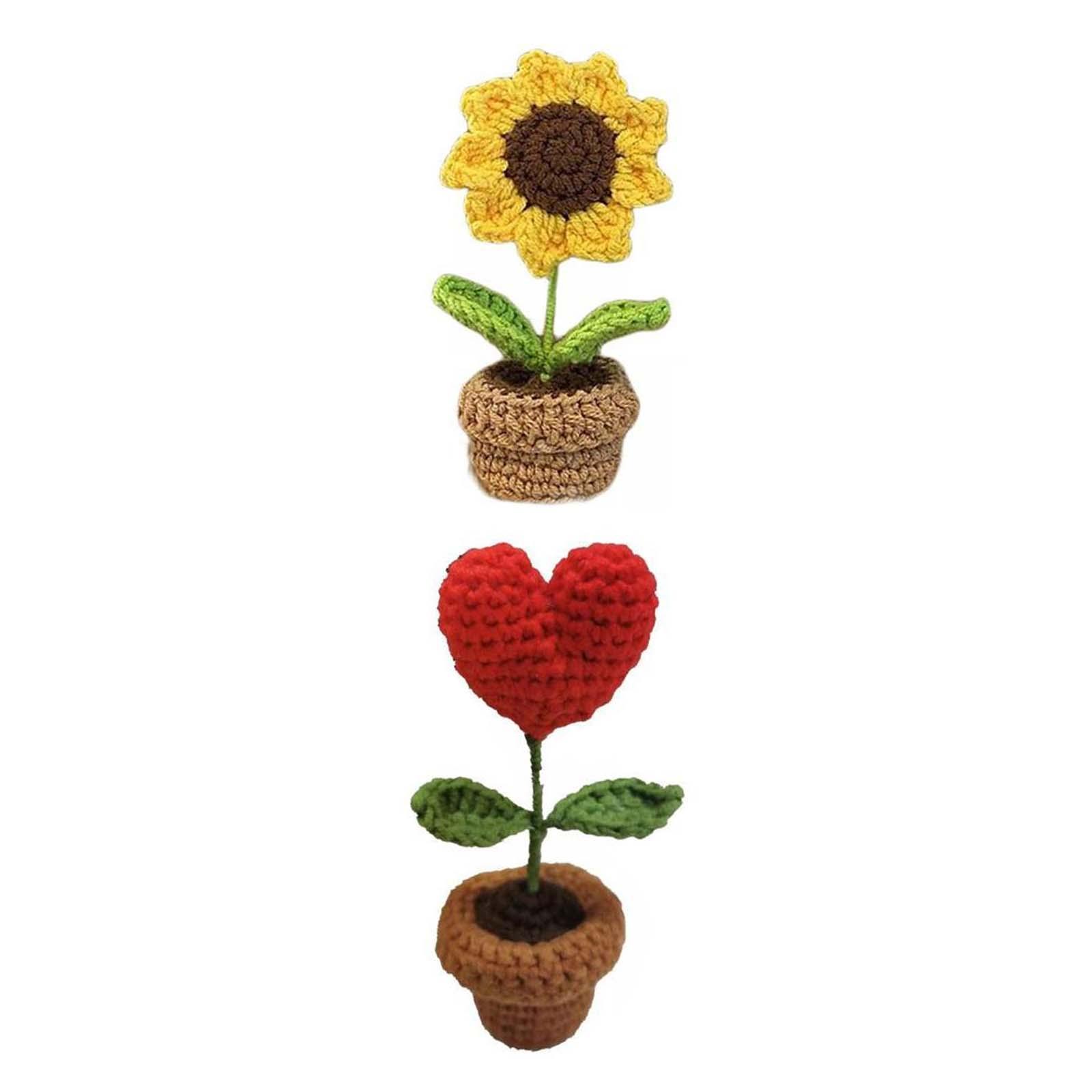2x Handmade DIY Beginner Crochet Kits for Adults and Kids