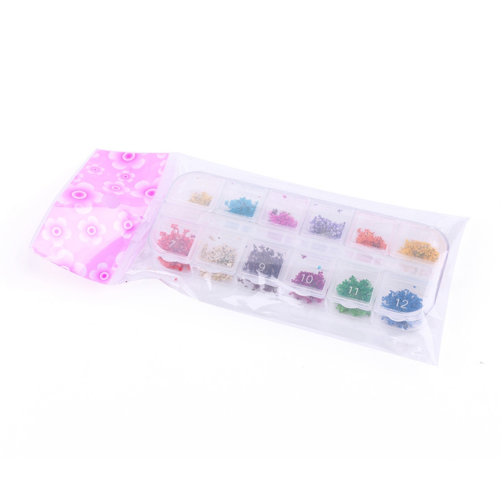 Set Hoa Khô Chùm Trang Trí Nail 12 Màu, Kiểu Dáng Đa Dạng Phong Phú Để Tạo Nhiều Phong Cách Móng Đẹp, Phù Hợp Nhiều Loại Keo Gắn Thông Dụng, Thiết Kế Thời Trang, Dễ Sử Dụng