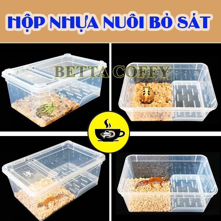 Hộp Nhựa Có Nắp - Lồng Nuôi Chuột Hamster, Rùa, Ếch, Thằn Lằn, Bò Sát