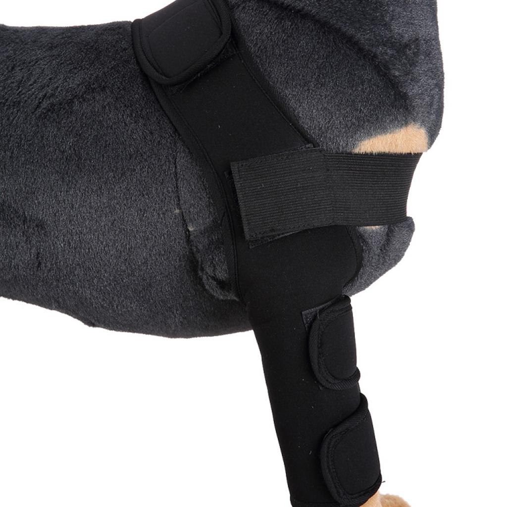 Dog Leg Brace Knee Leg Joint Protector Support Prevents Injuries and Sprains