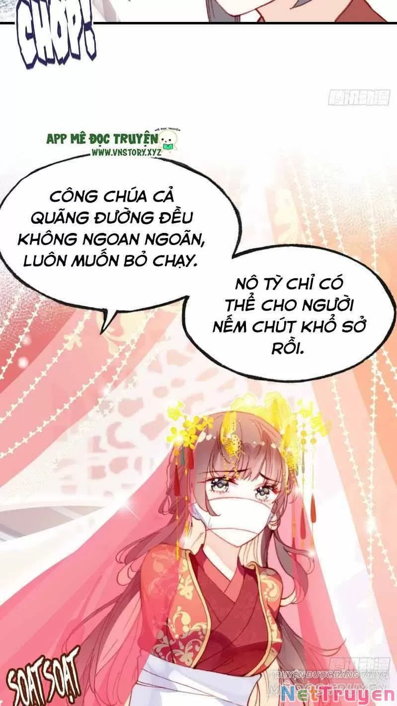 lại bị bệnh chiều chuộng quấn lấy chapter 1 6