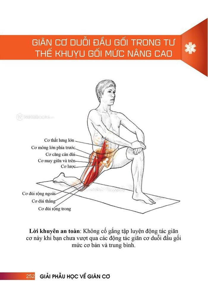 Sách - Giải Phẫu Học Về Giãn Cơ - Giãn Cơ Để Tối Ưu Sức Mạnh Cơ Bắp - Stretching Anatomy (Tái Bản 2024)