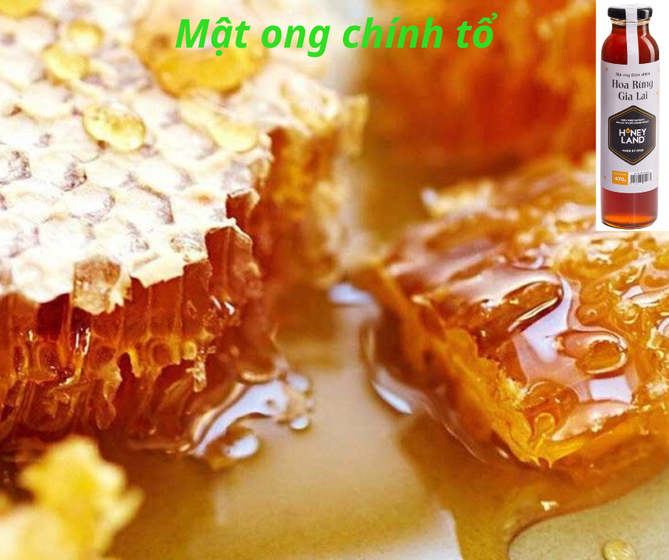 Combo 4 chai mật ong rừng Gia Lai 470g/chai TẶNG 4 chai Mật Ong Hoa Điện Biên 380g/chai Honeyland