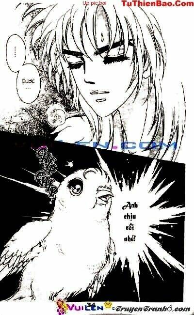 đóa hoa yêu kiều chapter 1 35