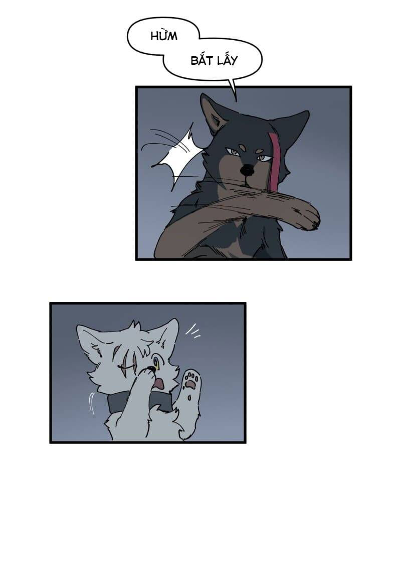 lumine - cội nguồn ánh sáng chapter 146 31