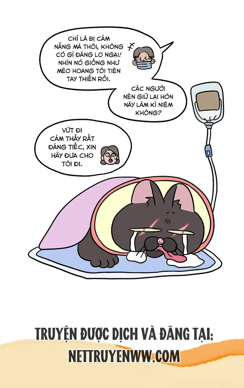 a mãn và mạch trà chapter 40.1 7