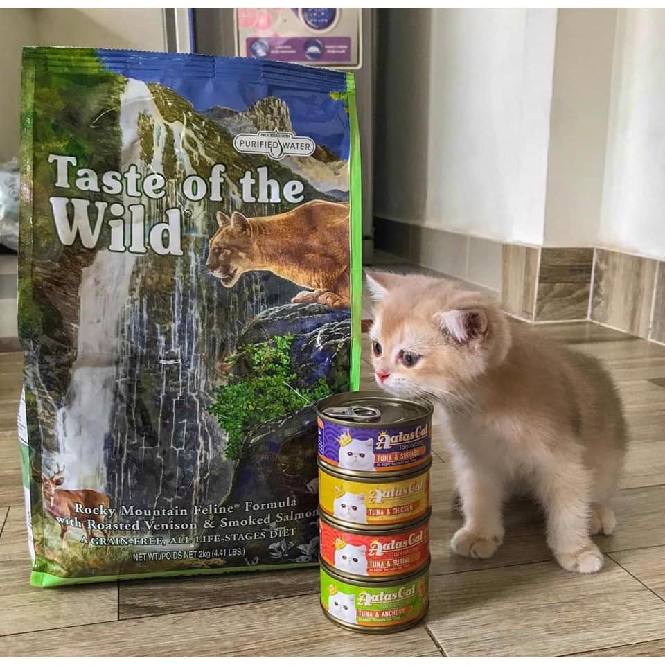 Thức Ăn Cho Mèo Taste Of The Wild Combo 2 bao 500g Tặng 1 sốt kem Aatas Cat - Da Lông Bóng Mượt, Trí Não