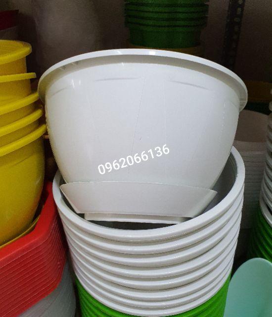 Chậu treo kèm đĩa