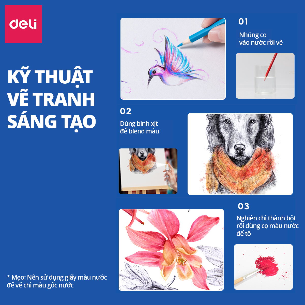 Bút Chì Màu Gốc Nước Cao Cấp Deli 24/36/48/72 Màu Hộp Thiếc - Không Dễ Gãy Tô Vẽ Tranh Chuyên Nghiệp