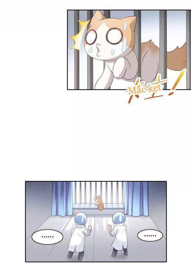 dưới móng vuốt mèo chapter 15 40