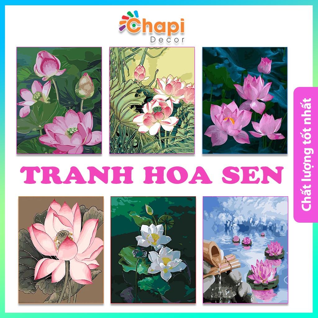 Tranh tô màu số hóa Chapi Hoa Sen KT 40x50 cm đã căng khung, Có dầu bóng