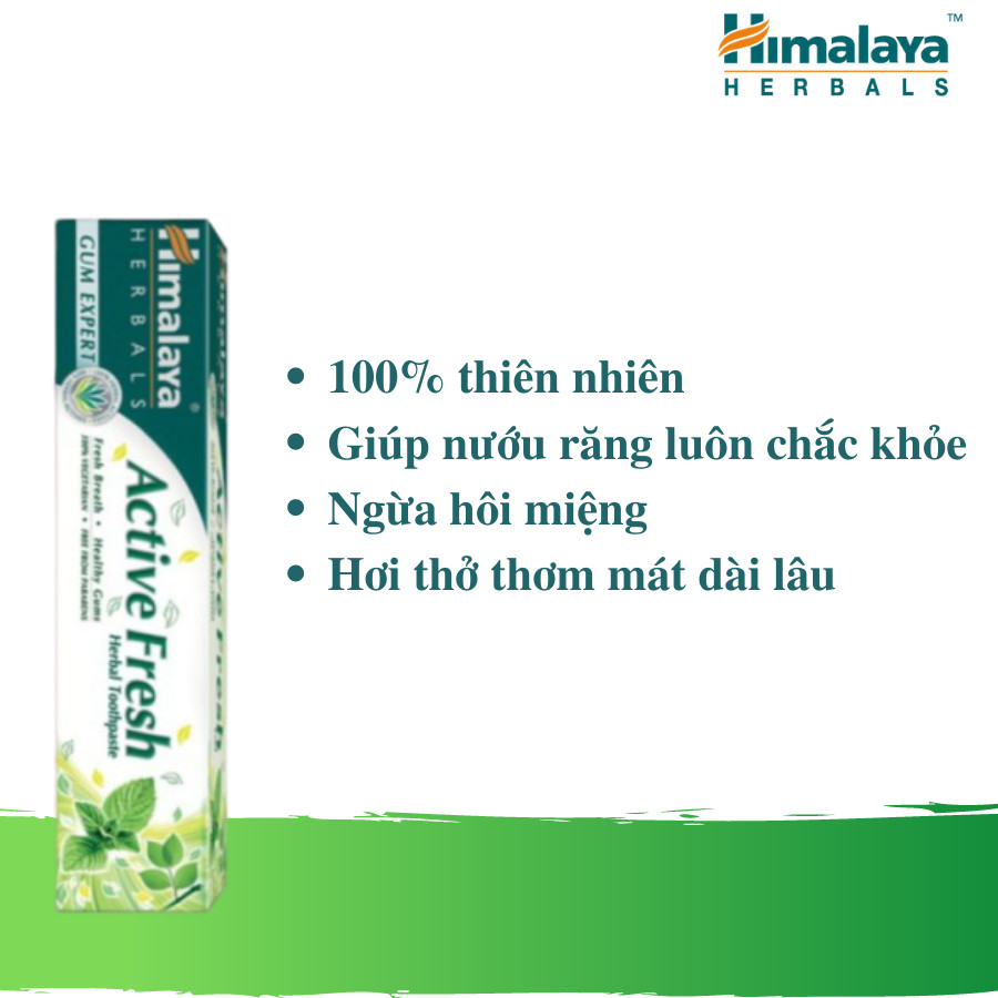 Ba tuýp kem đánh răng bảo vệ nướu giúp hơi thở thơm mát - Himalaya Active Fresh Herbal Toothpaste 100g