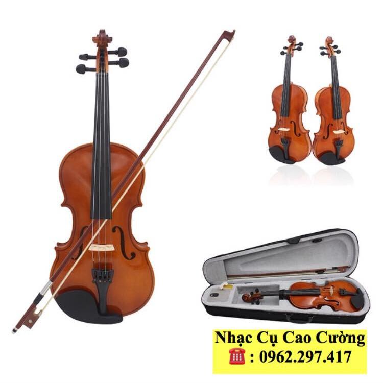 VIOLIN CHUYÊN NGHIỆP 4/4