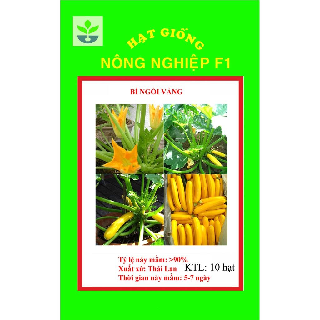 Goi 10 hạt giống bí ngòi vàng
