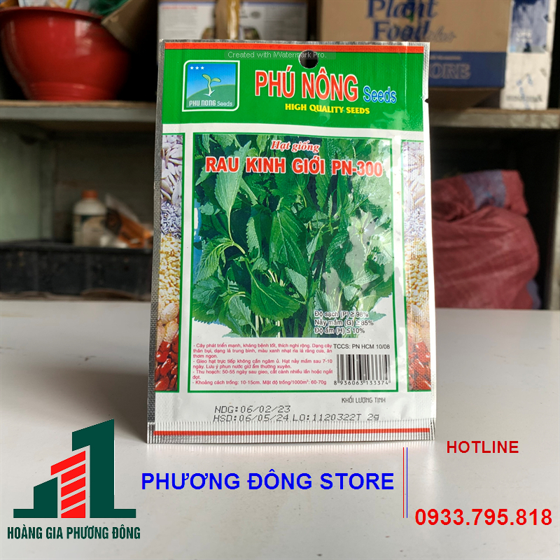 Combo 5-10 gói hạt giống rau kinh giới phát triển mạnh , kháng bệnh tốt