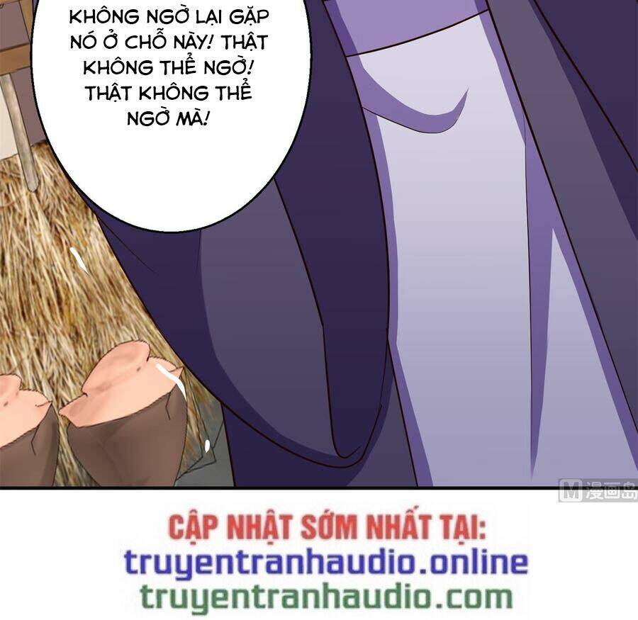 cửu dương đế tôn chapter 186 11