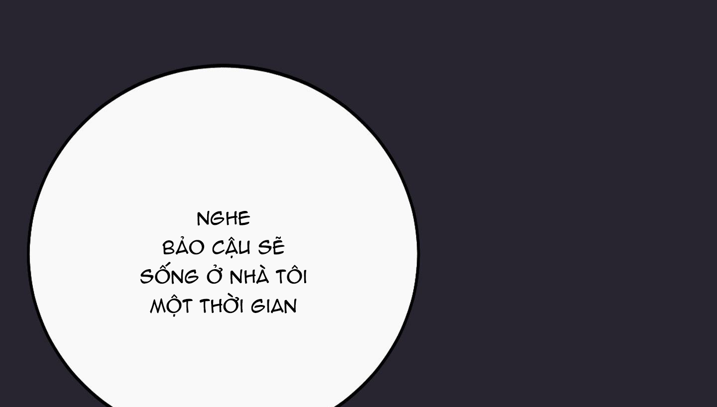 lãng mạn giả dối chapter 19 35