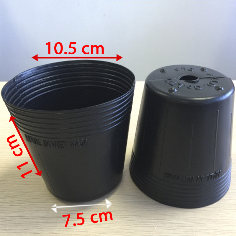 1000 Chậu nhựa ươm cây C5 miệng.đáy.cao 10.5x11x7.5 nhựa pe dẻo bền -077202