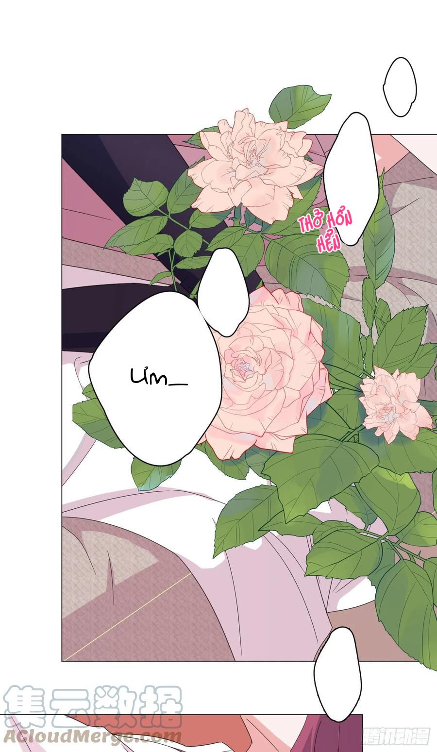 nhất hoàng cửu công thập nhị thê chapter 60 10