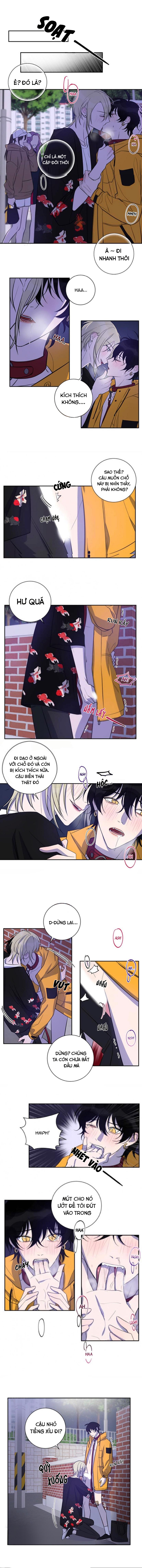 xu hướng tình dục bạn học chapter 24 6