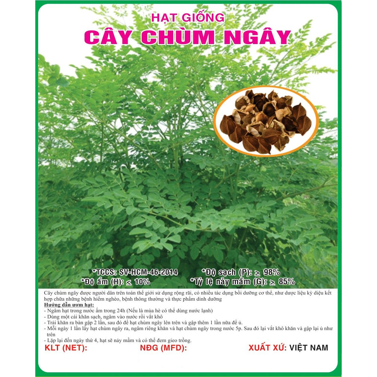 Hạt giống rau Chùm Ngây - cây Chùm Ngây VTS85