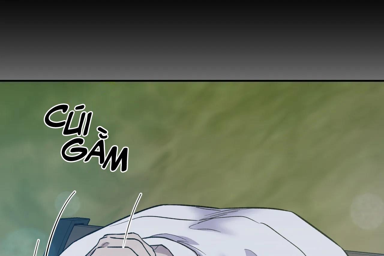 ám ảnh pheromone chapter 62 13