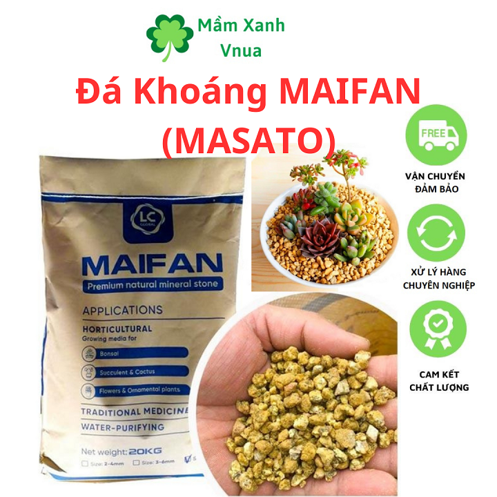 500GR - Đá Khoáng Maifan chuyên trồng Sen Đá, Xương Rồng, Bonsai - giữu Màu, Tạo Màu Hoa
