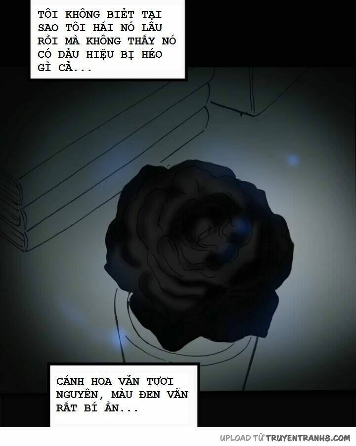 hoa mẫu đơn đen chapter 5 7