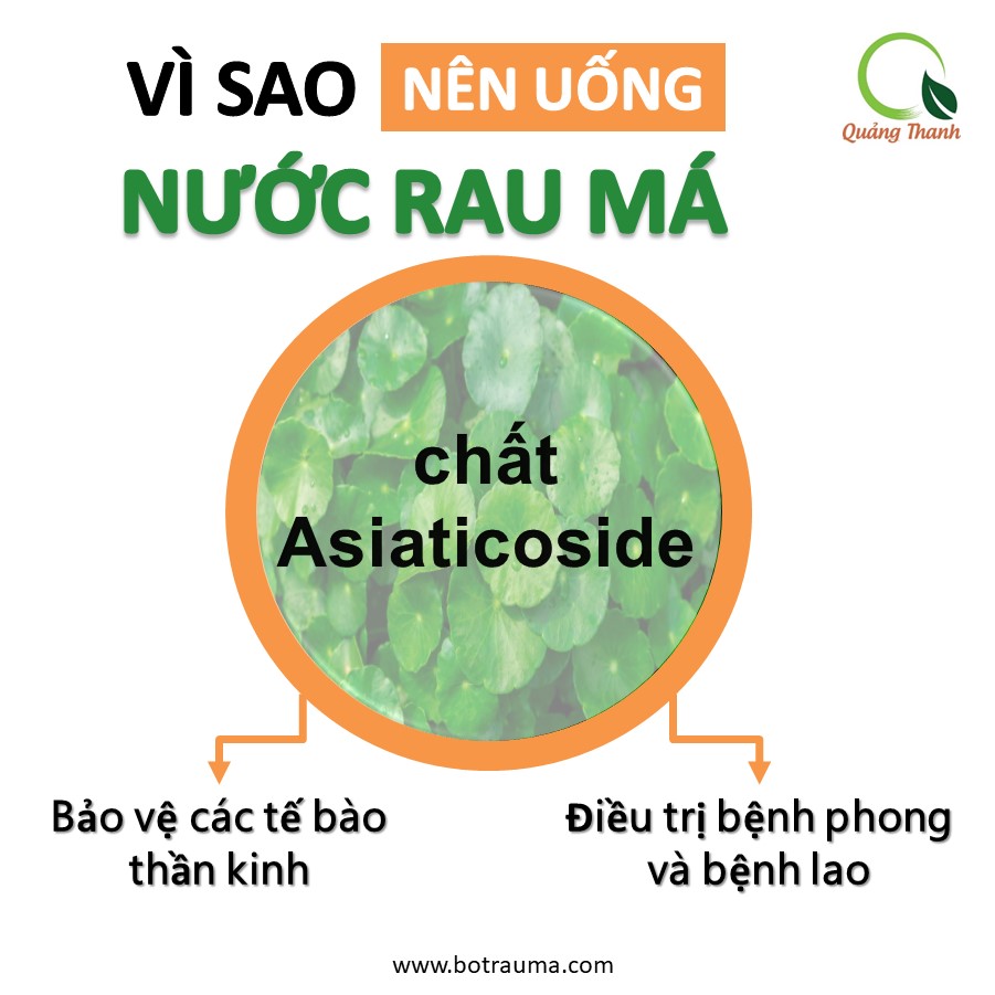 Bột rau má sấy lạnh Quảng Thanh, bịch 50gr - Giải độc, mát gan, thanh nhiệt cơ thể, giảm mụn, đẹp da