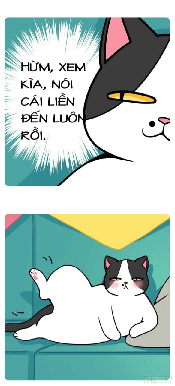 hello dư tuyết đặc chapter 1 7