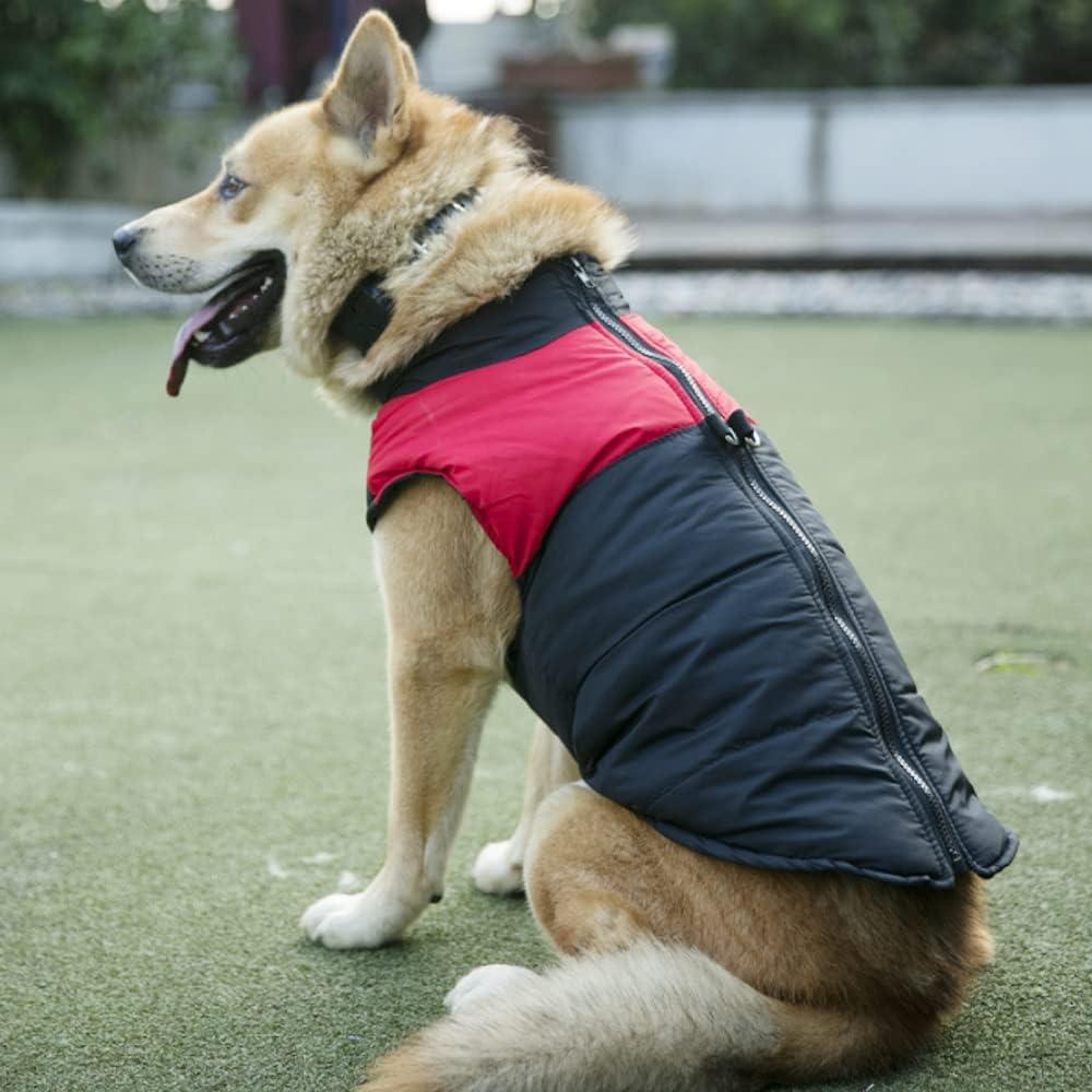Áo khoác chó mùa đông không thấm nước, áo khoác cotton chó không thấm nước màu đỏ huỳnh quang, áo khoác mùa đông chó, áo khoác thú cưng