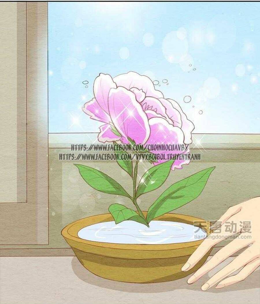 nhân hoa duyên chi sư phụ đại nhân cầu sủng ái chapter 3 10