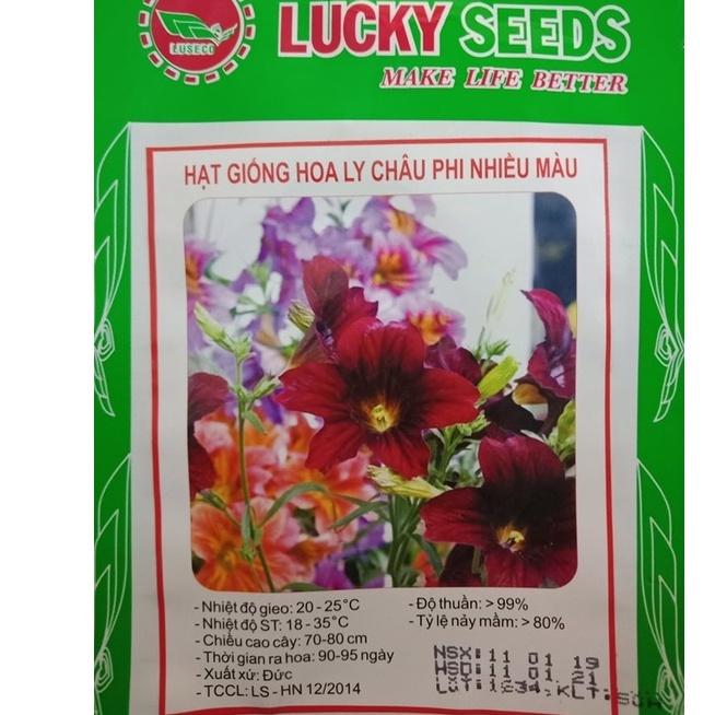 Hạt giống hoa ly châu phi nhiều màu CT382 - Gói 50 hạt