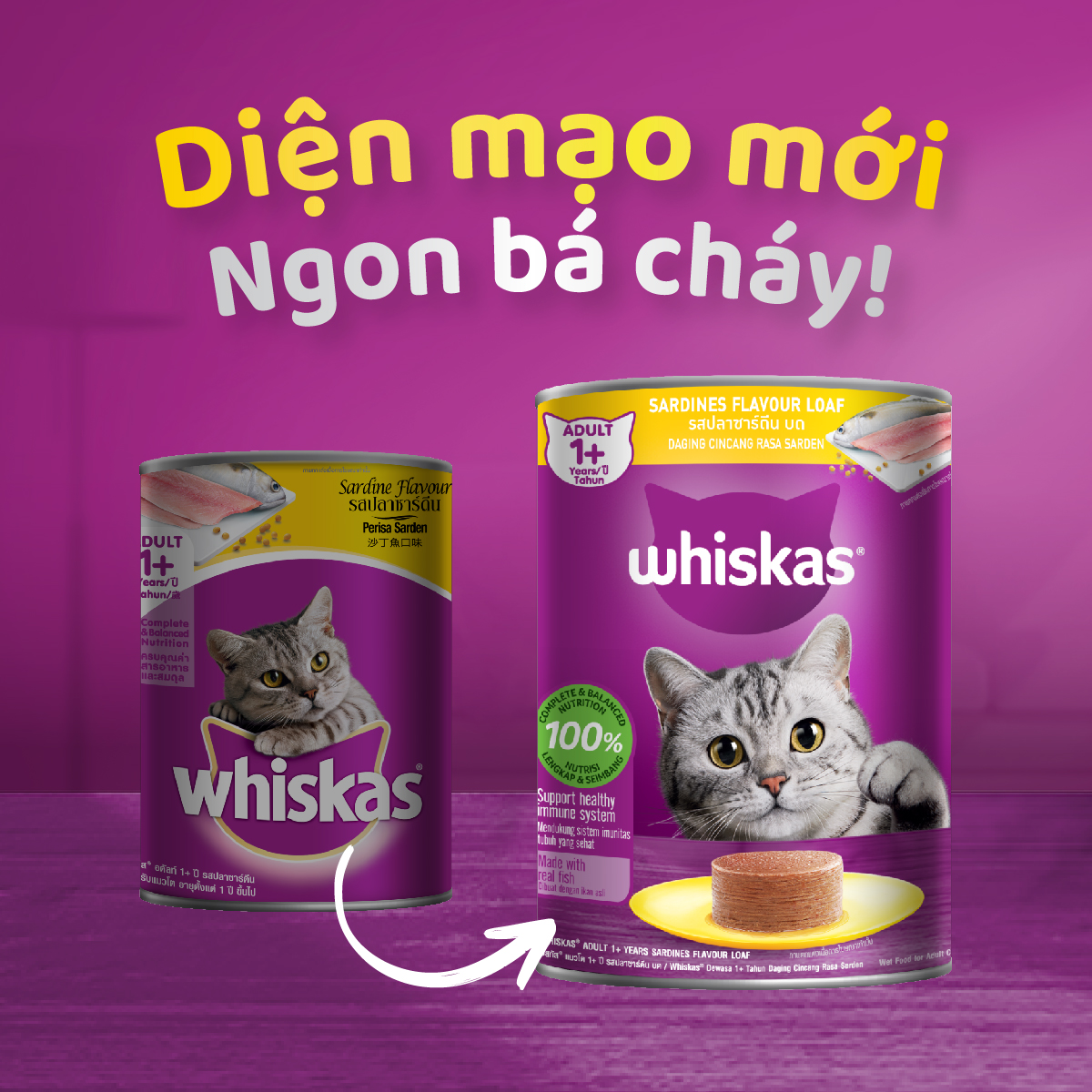 WHISKAS Combo 12 Thức Ăn Cho Mèo Trưởng Thành Dạng Pate Mix 3 Vị 400G (dạng lon)