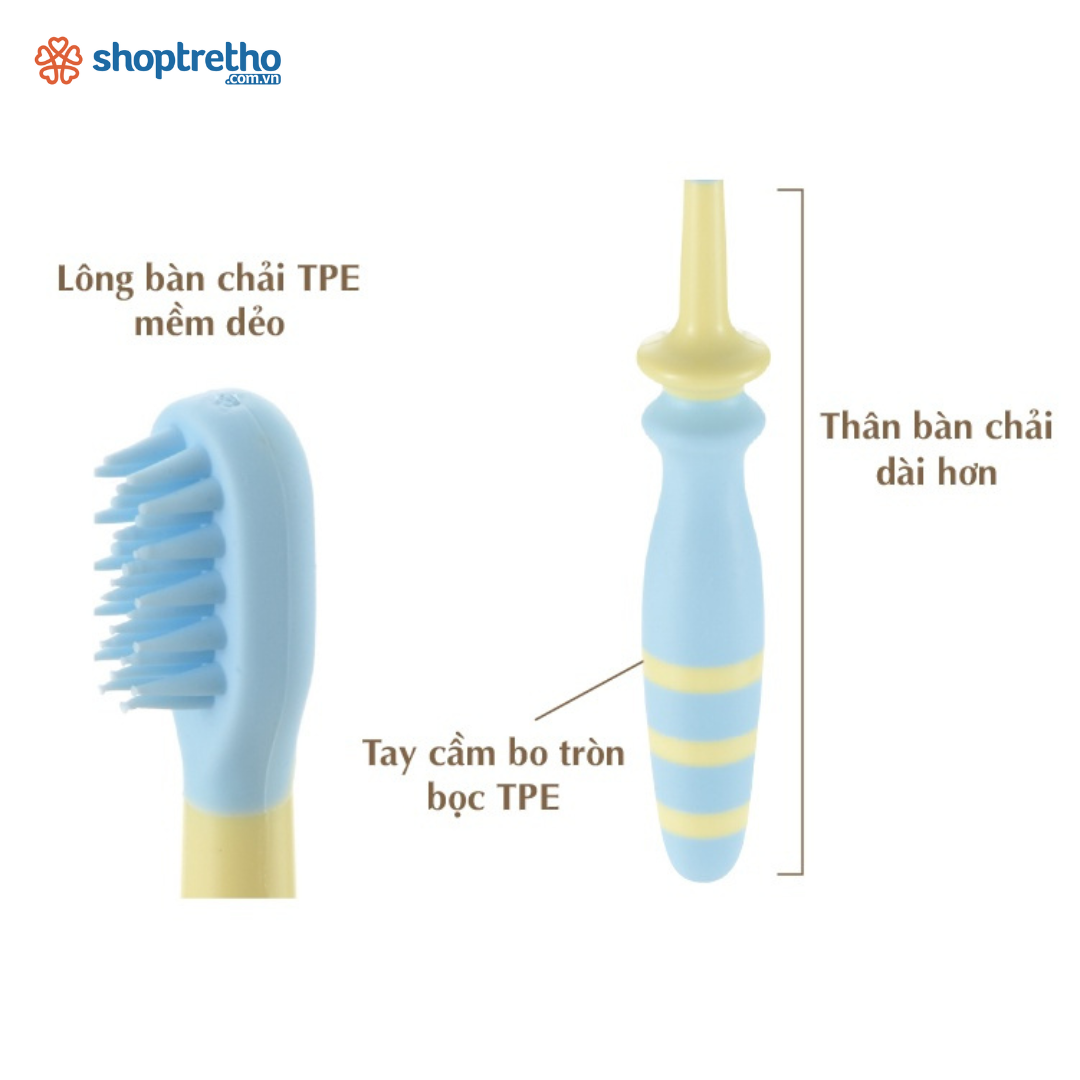 Bộ bàn chải trẻ em 3 bước TLI Richell Nhật Bản từ 6 tháng | Baby