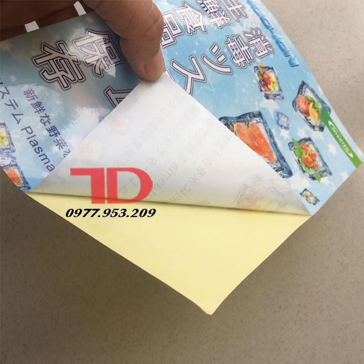 Tem dán trang trí Tủ Lạnh nội địa Nhật 21x15cm MS06