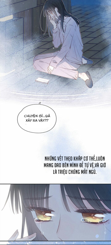 nỗi buồn của hoa cẩm tú cầu chapter 45 2