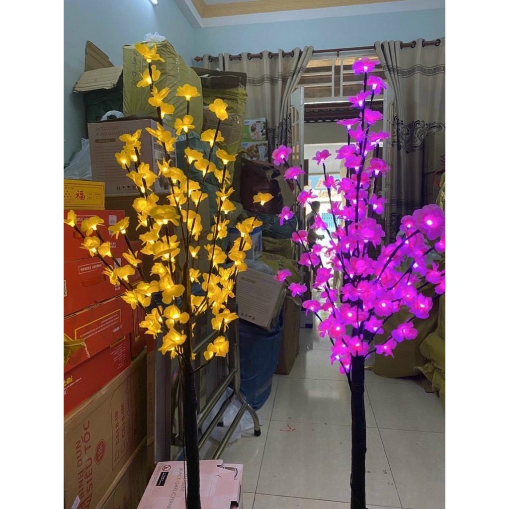 CÂY MAI VẢI TRANG TRÍ TẾT CAO 1M2