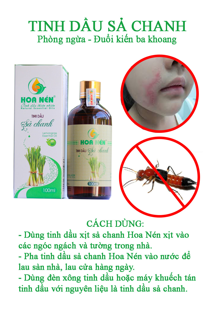 Tinh dầu Sả chanh 100ml - Hoa Nén