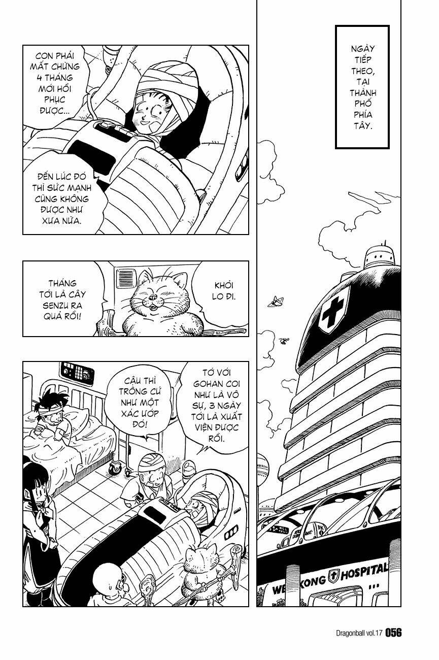 dragon ball - bảy viên ngọc rồng chapter 243 11